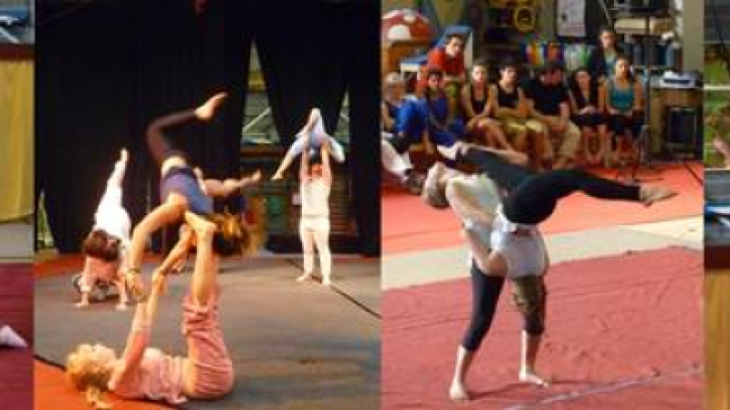Qu’est-ce que c’est que ce cirque ?