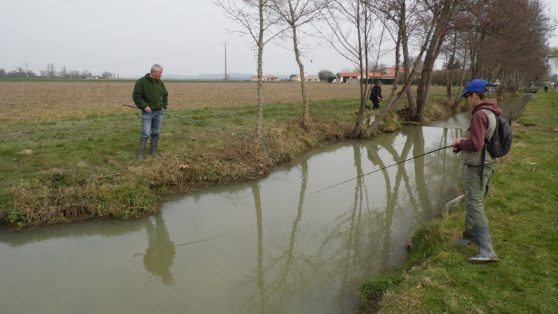 Pêche a la truite 