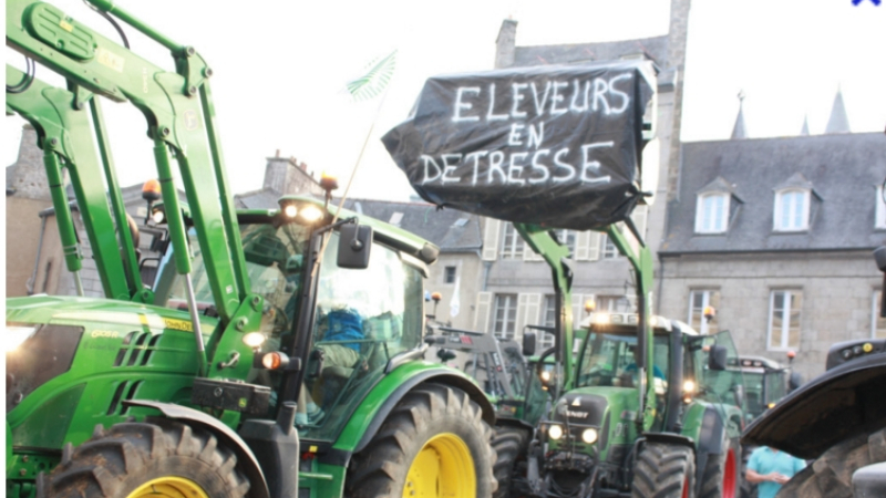 Étiquetage de l'origine des viandes, limitation de production pour le lait :