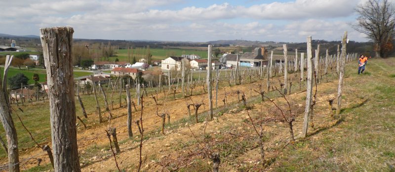 Saint-Mont vignoble en fêtes