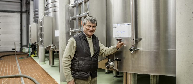 AIGNAN – Tout ce que vous avez toujours voulu savoir sur la vinification du Saint Mont rouge
