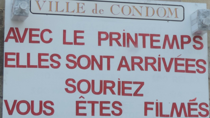 Les  poissons ont quitté la Baïse