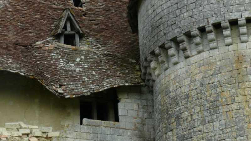 Sauvons le château d'Esclignac