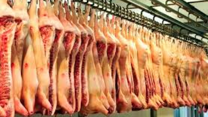 Bien-être animal, vers de nouvelles dispositions