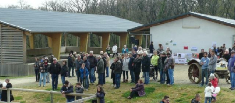« les Écuries de La Paguère», un pensionnat chic pour les chevaux
