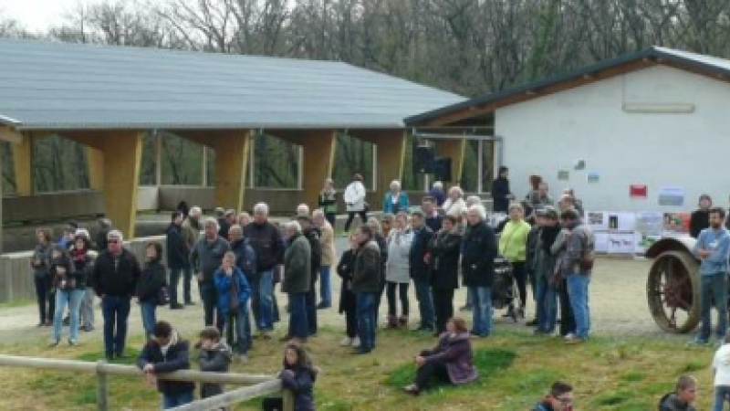 « les Écuries de La Paguère», un pensionnat chic pour les chevaux