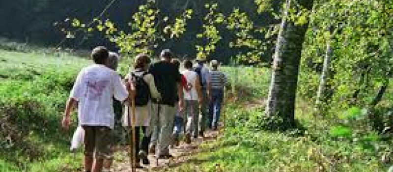 Rando Pavie : Programme des randonnées avril et mai