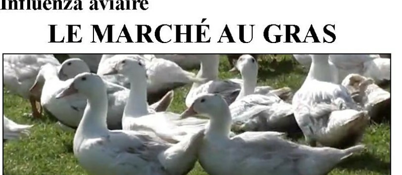 SAMATAN - note de la municipalité -