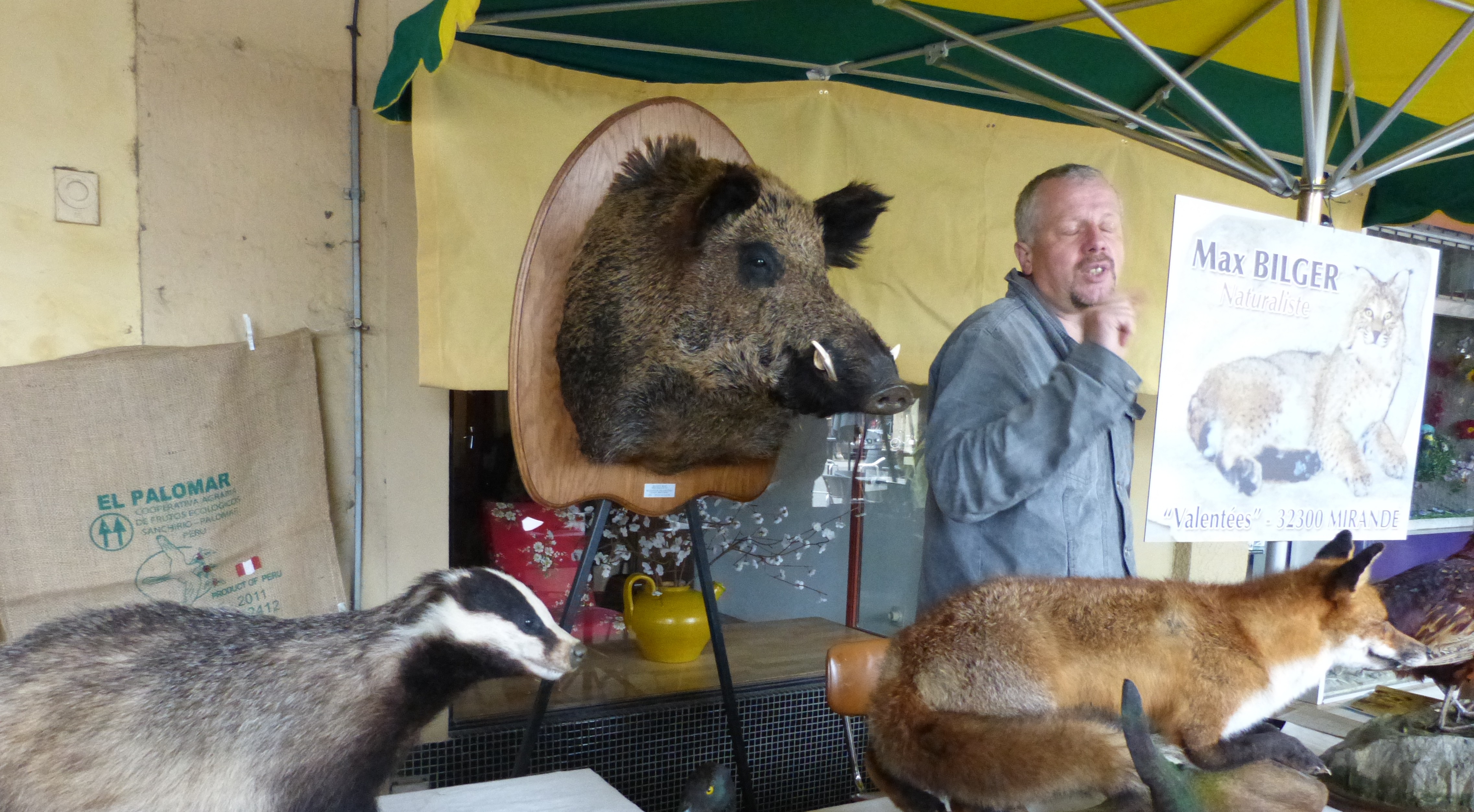 le stand du taxidermiste