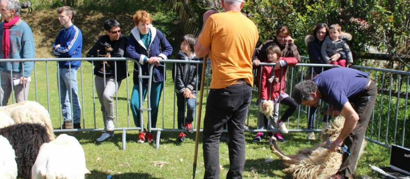 La fête autour du mouton