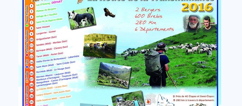 À Toujouse on prépare le parcours de la transhumance