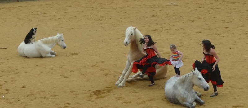 Superbe spectacle équestre avec Equifoliz et Equivolt 