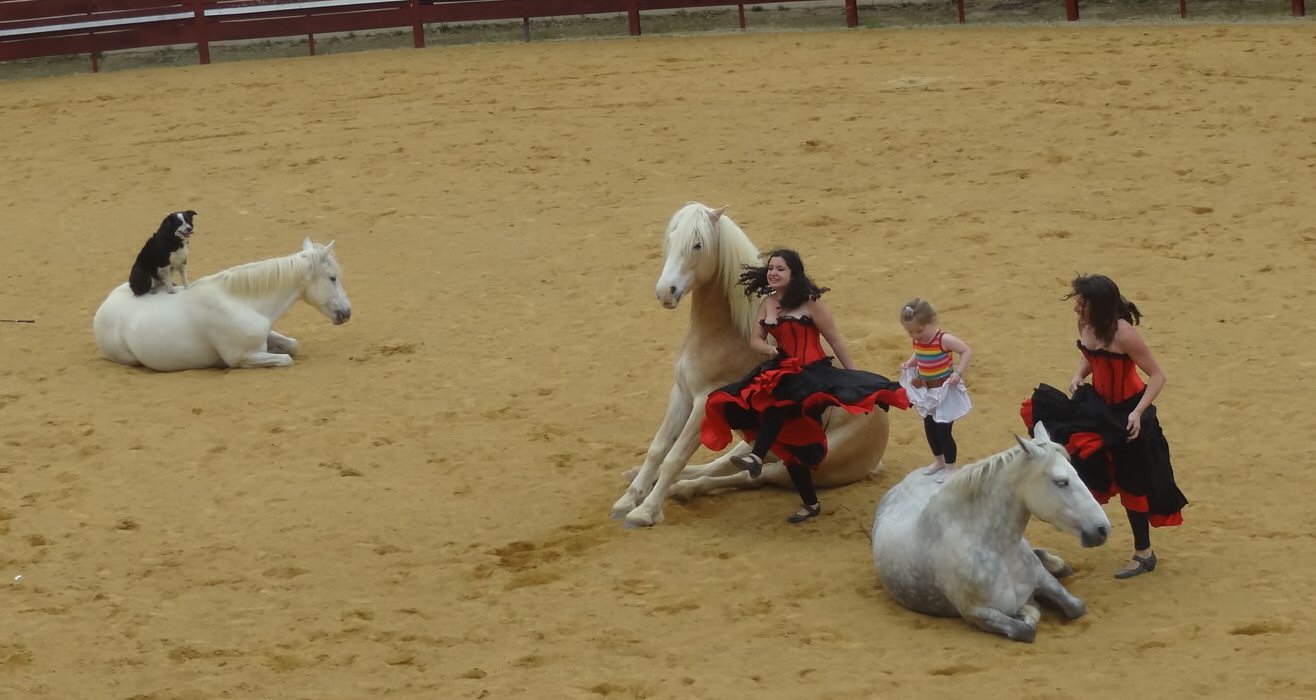 Superbe Spectacle Equestre Avec Equifoliz Et Equivolt Le Journal Du Gers Journal D Actualites En Ligne Et En Continu Traitant De L Actu D Auch Et Du Gers