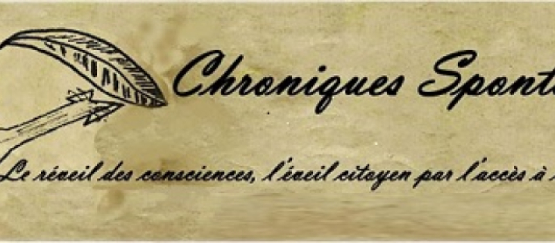 "chroniques spontanées" se présente