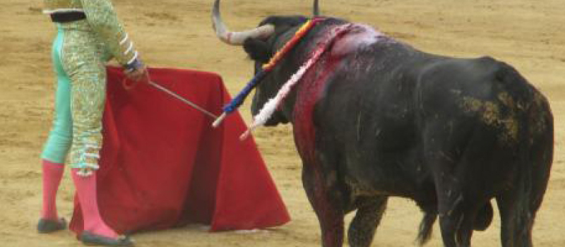 Bilan de la feria