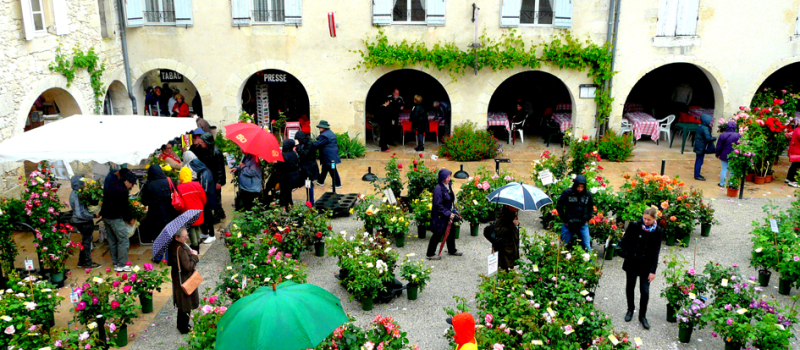 LA ROMIEU: Un marché des rosiers bien arrosé