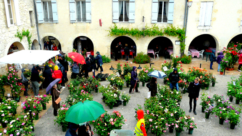 LA ROMIEU: Un marché des rosiers bien arrosé