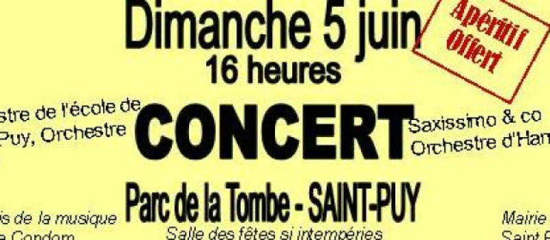 Concert au parc de la Tombe