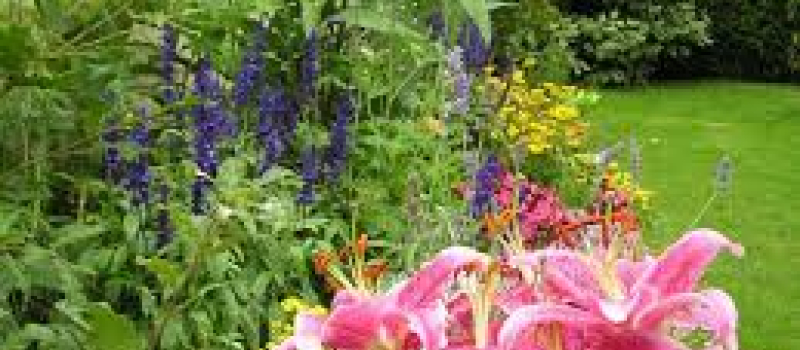 Ce samedi découvrez le jardinage au naturel avec le CPIE gersois