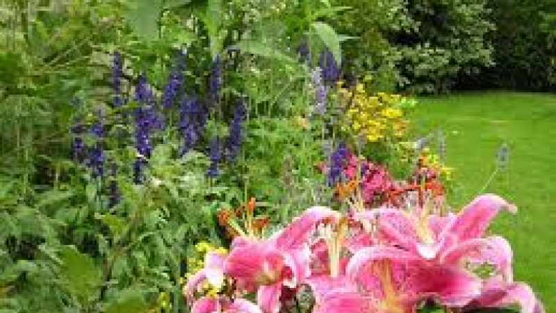 Ce samedi découvrez le jardinage au naturel avec le CPIE gersois