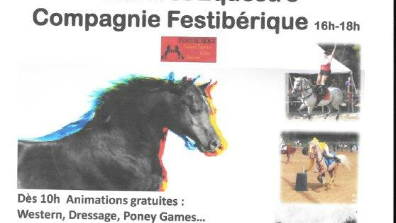Mauvezin - Dimanche 19 juin la  journée  du cheval  revient  !!!!!