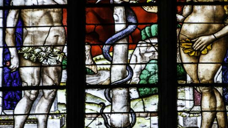 Vitraux de la cathédrale Sainte Marie d'Auch
