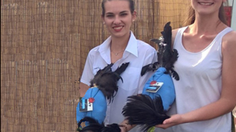 Route du Sud  Les poulets noirs de l'Astarac sur le podium