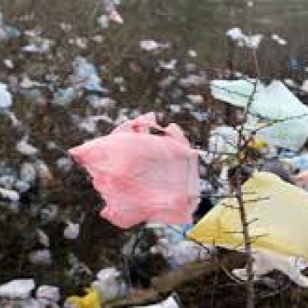 sac plastique pollution.jpg