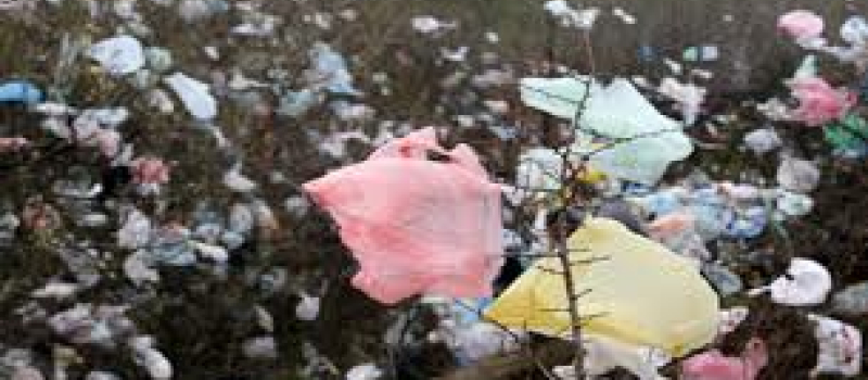 La fin des sacs plastiques à usage unique est proche