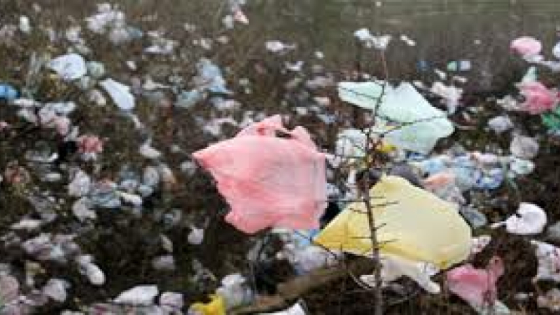 La fin des sacs plastiques à usage unique est proche