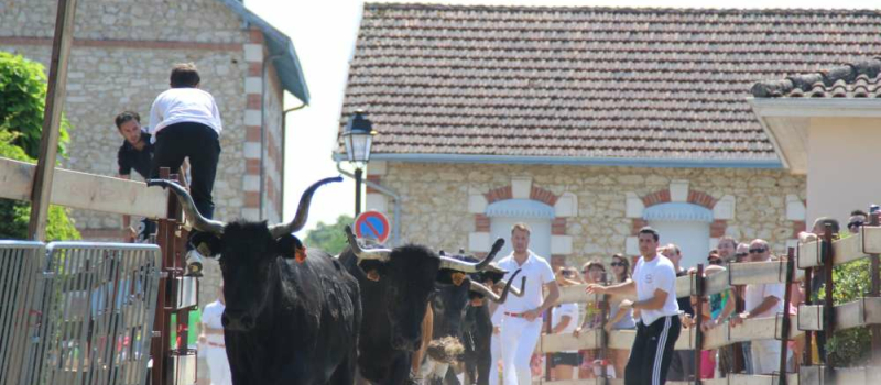 Castelnau d'Auzan-Labarrère : Les fêtes au village