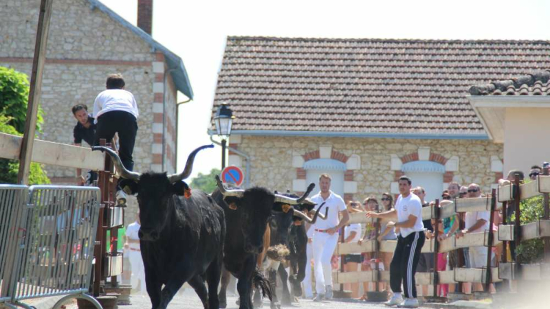 Castelnau d'Auzan-Labarrère : Les fêtes au village