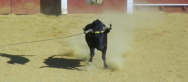 Estang : Deux spectacles pour le prix d’un