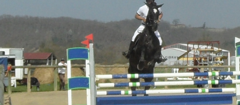 Equitation, loisirs et concours à Saint Michel