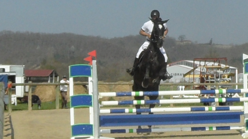 Equitation, loisirs et concours à Saint Michel