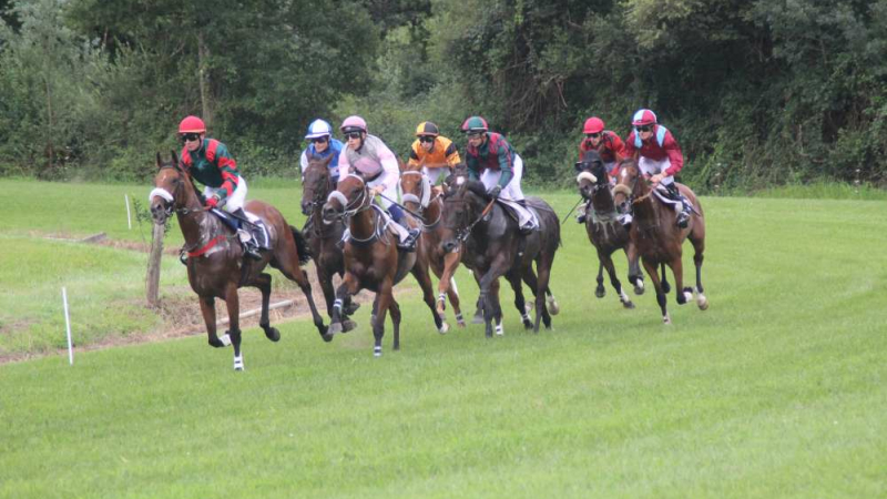 Cazaubon  : Courses de chevaux
