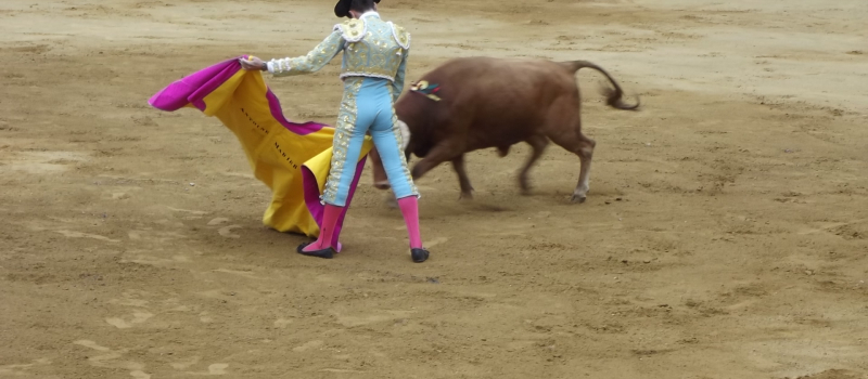 Novillada concours de Fêtes de la Madeleine Montoise 