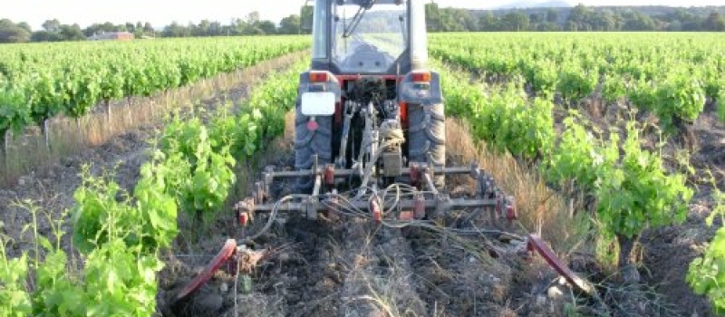 Lundi 1 août à Marciac la Chambre d'agriculture du Gers organise une journée agro-écologie