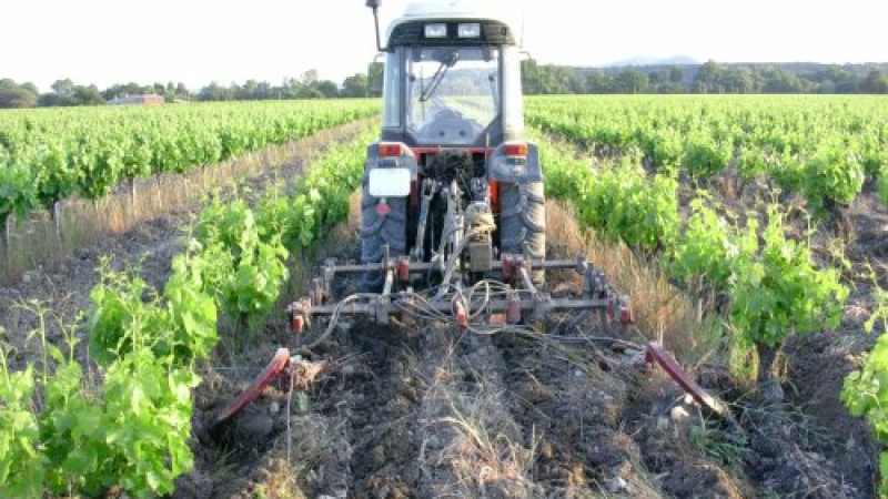 Lundi 1 août à Marciac la Chambre d'agriculture du Gers organise une journée agro-écologie