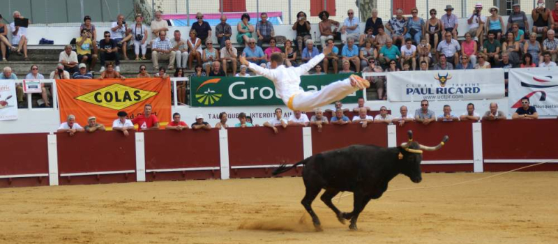 Cazaubon : Festival Gasco-Landais