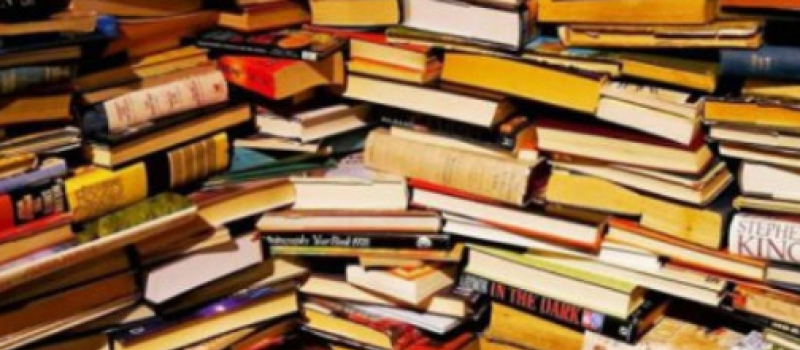 La bibliothèque municipale de Fleurance organise son sixième vide-bibliothèque le 11 septembre