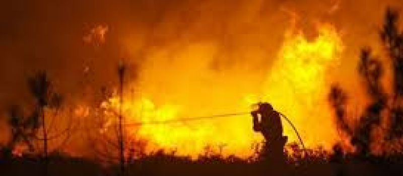Le SDIS du Gers mobilise ses spécialistes ‘feu de forêt’ pour la façade méditerranéenne