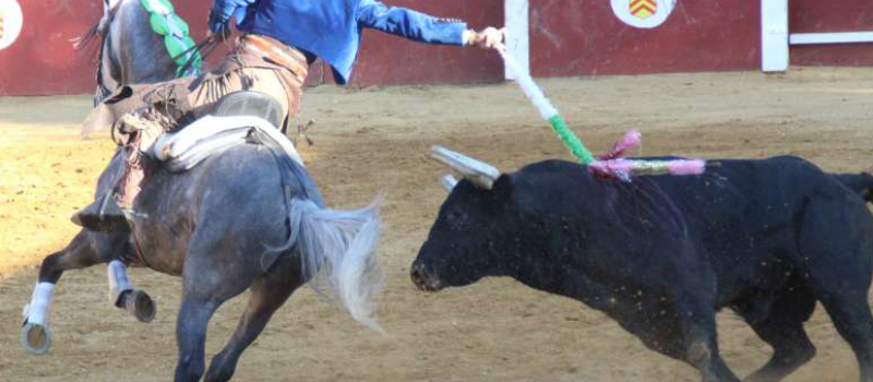 Corrida portugaise