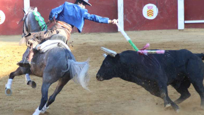 Corrida portugaise