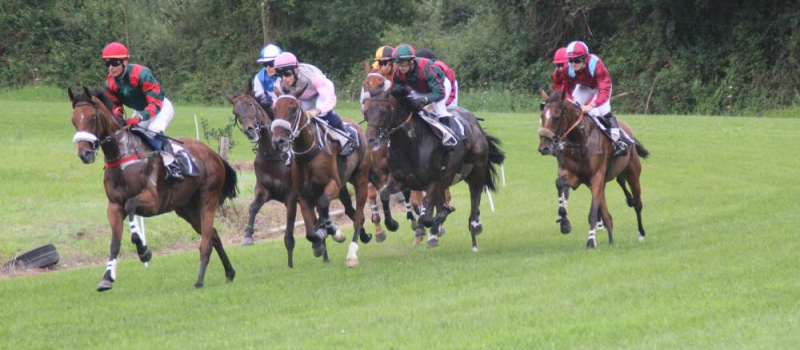 Cazaubon : Courses de chevaux à l'hippodrome de la Douze