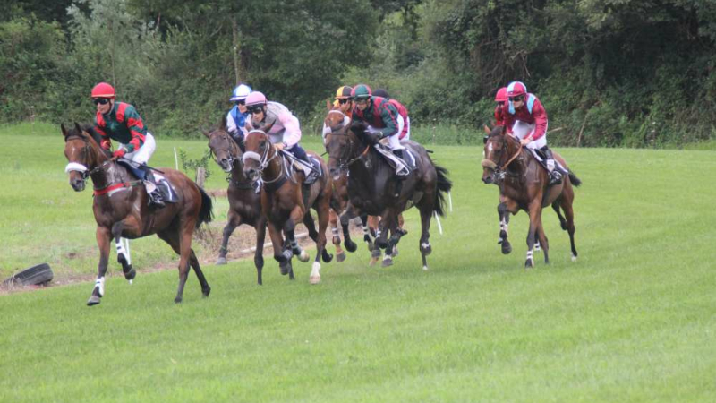 Cazaubon : Courses de chevaux à l'hippodrome de la Douze