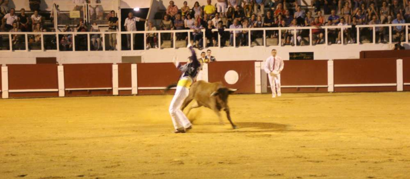 Cazaubon : Course landaise formelle