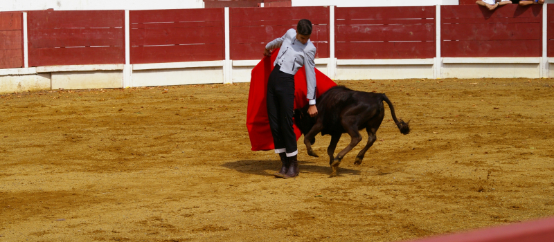 Arènes de Toujouse 