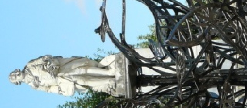 L'arbre à livres a poussé sur la place de la Libération à Auch