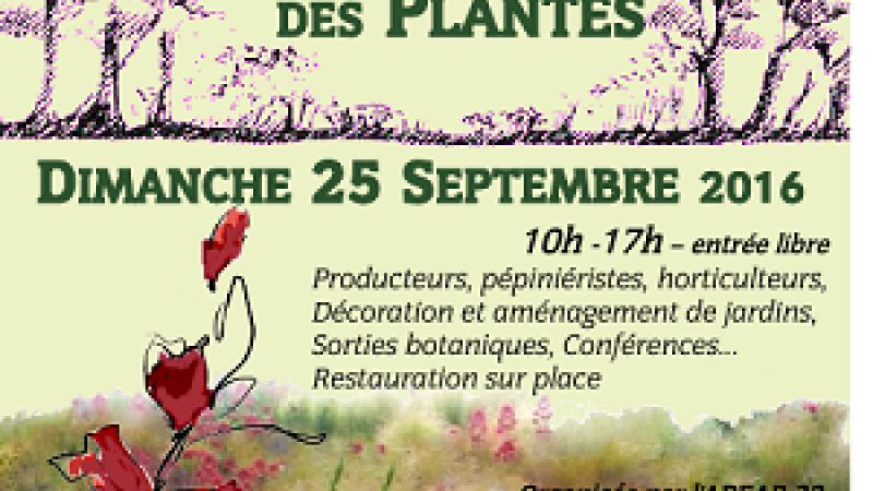 MONFORT : "L'Automnale de Monfort"